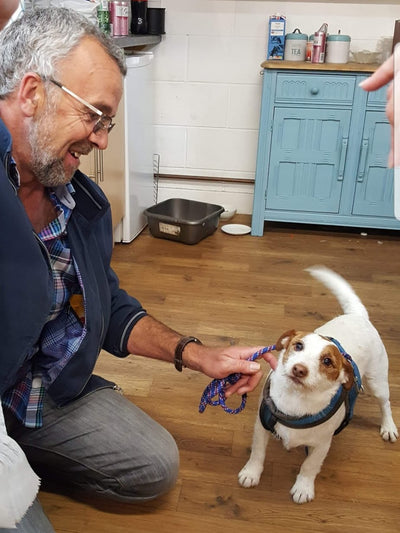 One happy dog reunited with his owner..though the power of Facebook :)