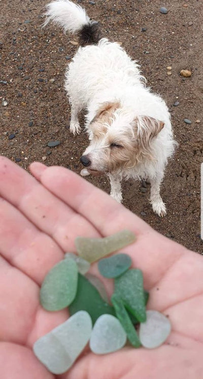 Sea Glass Hunting at Seaham ....