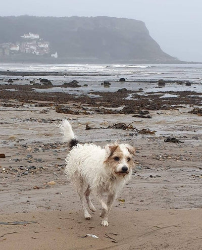 Run Time at Runswick Bay Fab .....