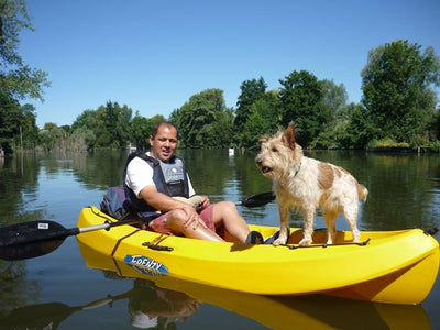 Meet Freddy a fellow Kayaker ... keep paddling dad we are nearly there ....