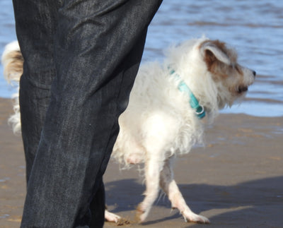 WAITING FOR DAD ... TO THROW A STONE..