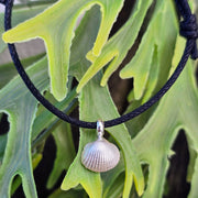 Cute Cockle Shell Cord Bracelet