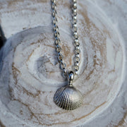 Cute Cockle Shell Necklace