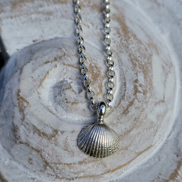 Cute Cockle Shell Necklace