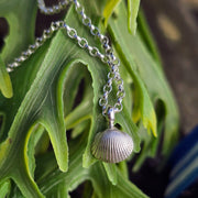 Cute Cockle Shell Necklace