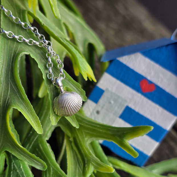 Cute Cockle Shell Necklace