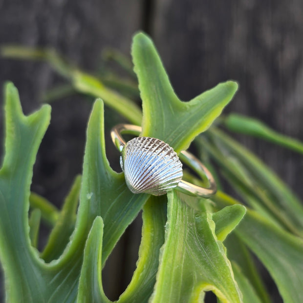 Cute Cockle Shell Ring