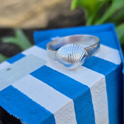 Cute Cockle Shell Chunky Band Ring
