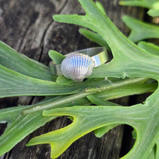 Cute Cockle Shell Chunky Band Ring