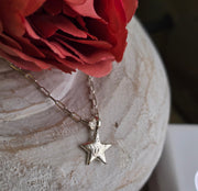 Ashes into Silver My Star Memory Long Link Necklace