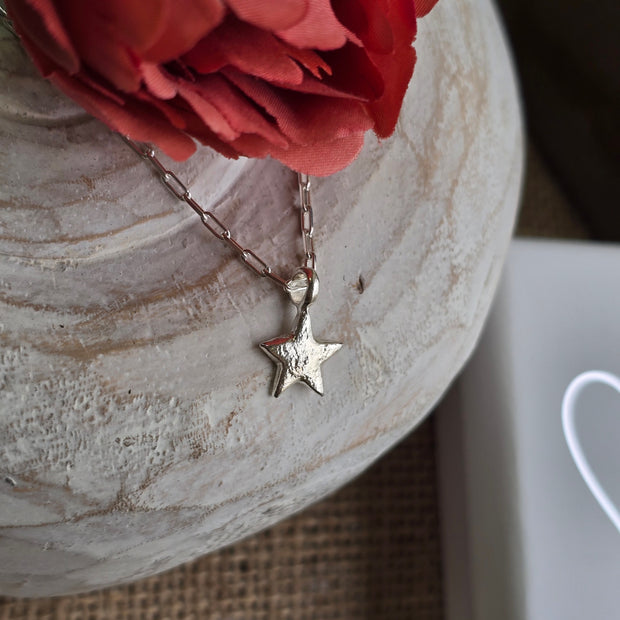 Ashes into Silver My Star Memory Long Link Necklace
