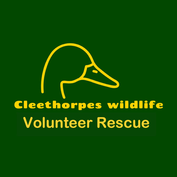 Meridian Globe Bracelet / Cleethorpes Wildlife Rescue Donation