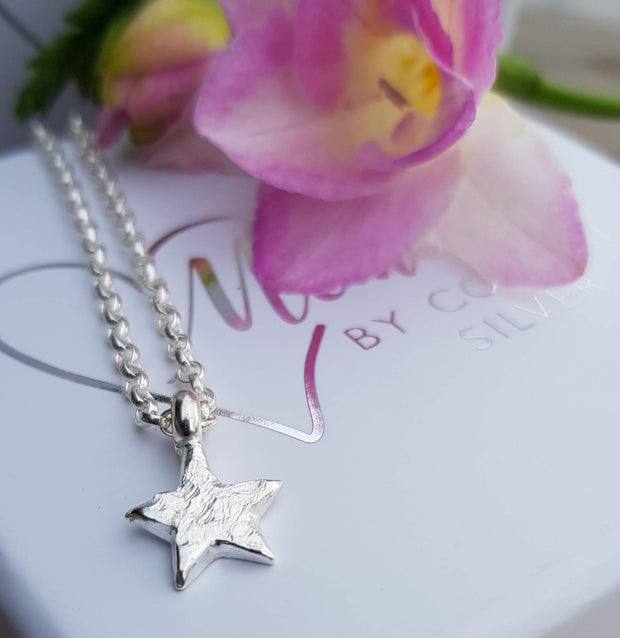 My Star Ashes into Silver Memory Necklace