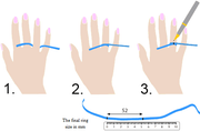 How to measure for a Ring